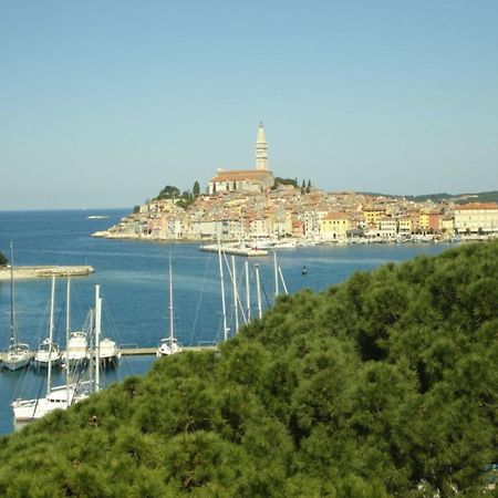 Apartments Ana - Rovinj Bagian luar foto