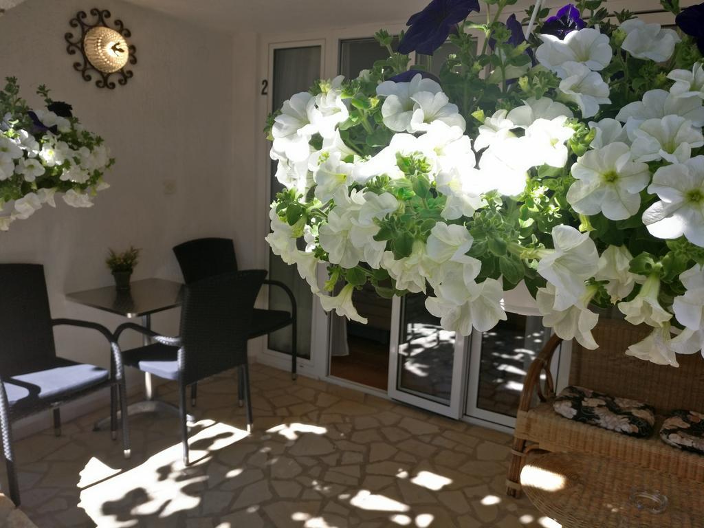 Apartments Ana - Rovinj Bagian luar foto